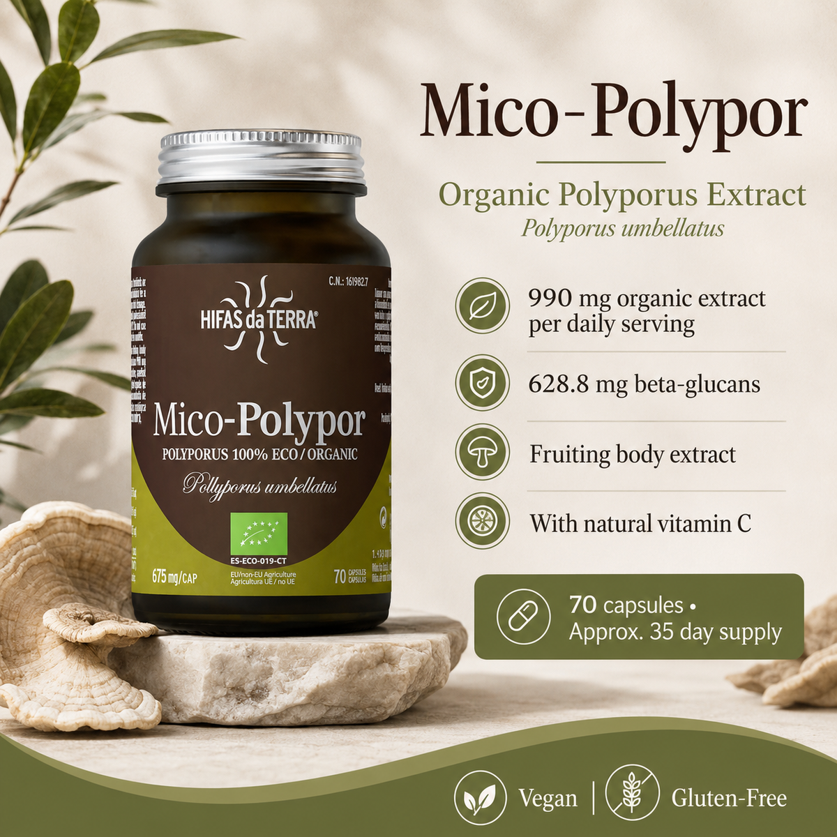 Mico-Polypor – Organic Polyporus Extract + Vitamin C