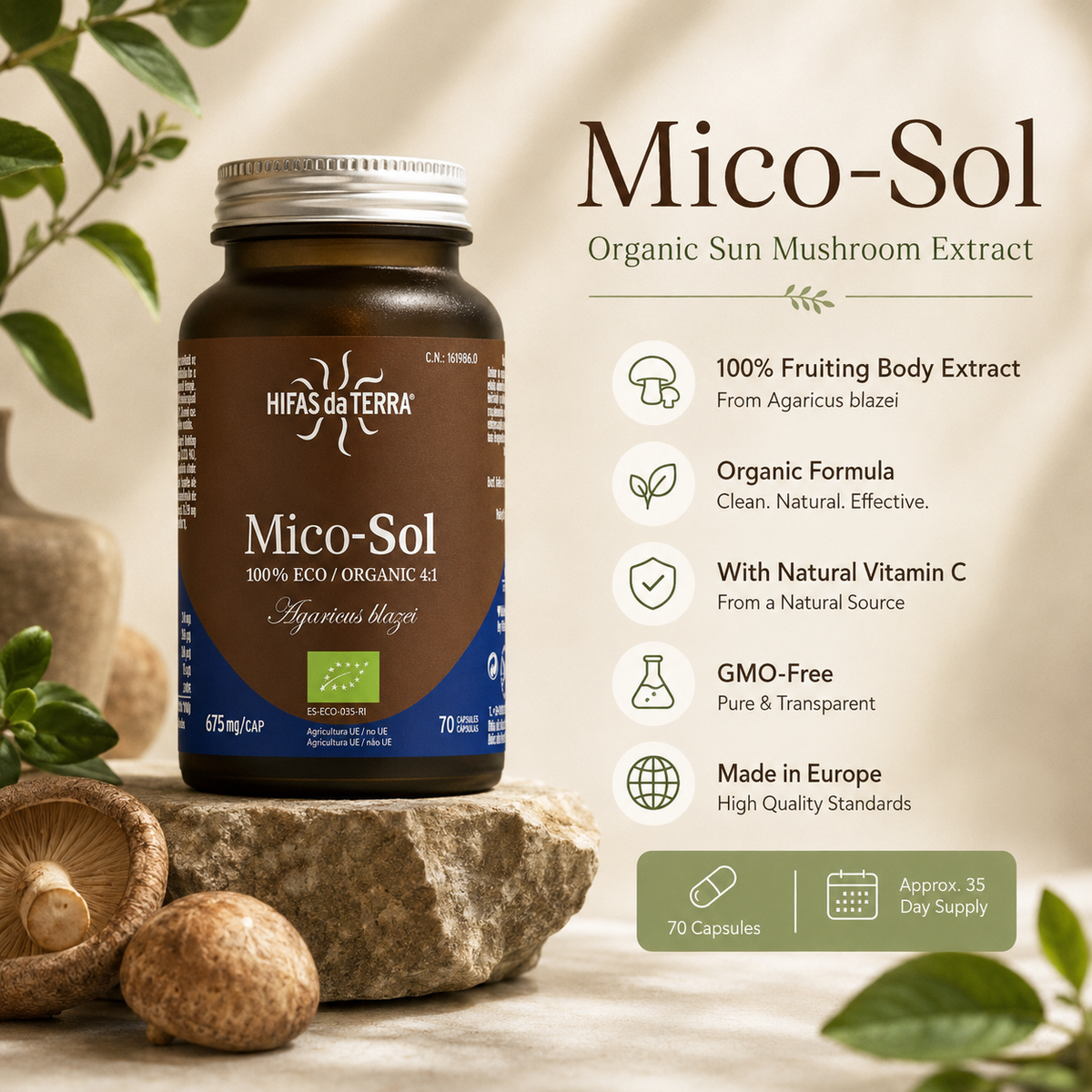 Mico-Sol® – Organic Sun Mushroom Extract + Vitamin C