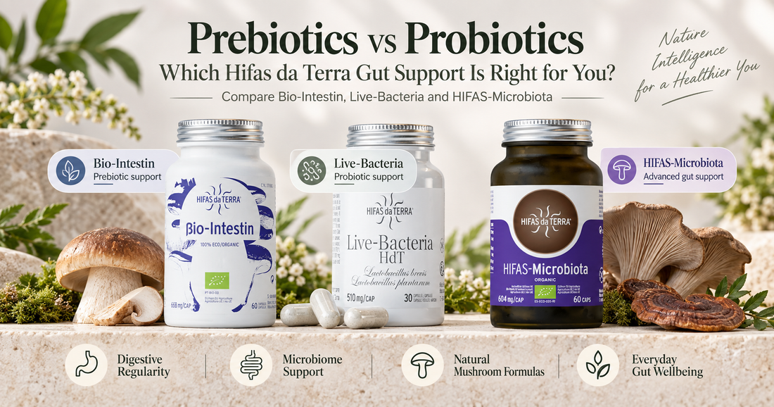 Prebiotics vs Probiotics: Which Hifas da Terra Gut Support Is Right for You?