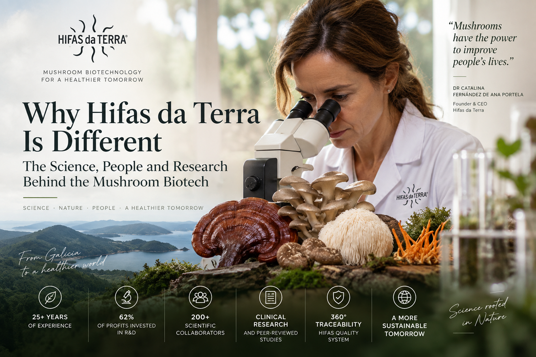 Why Hifas da Terra Is Different: The Science, People and Research Behind the Mushroom Biotech