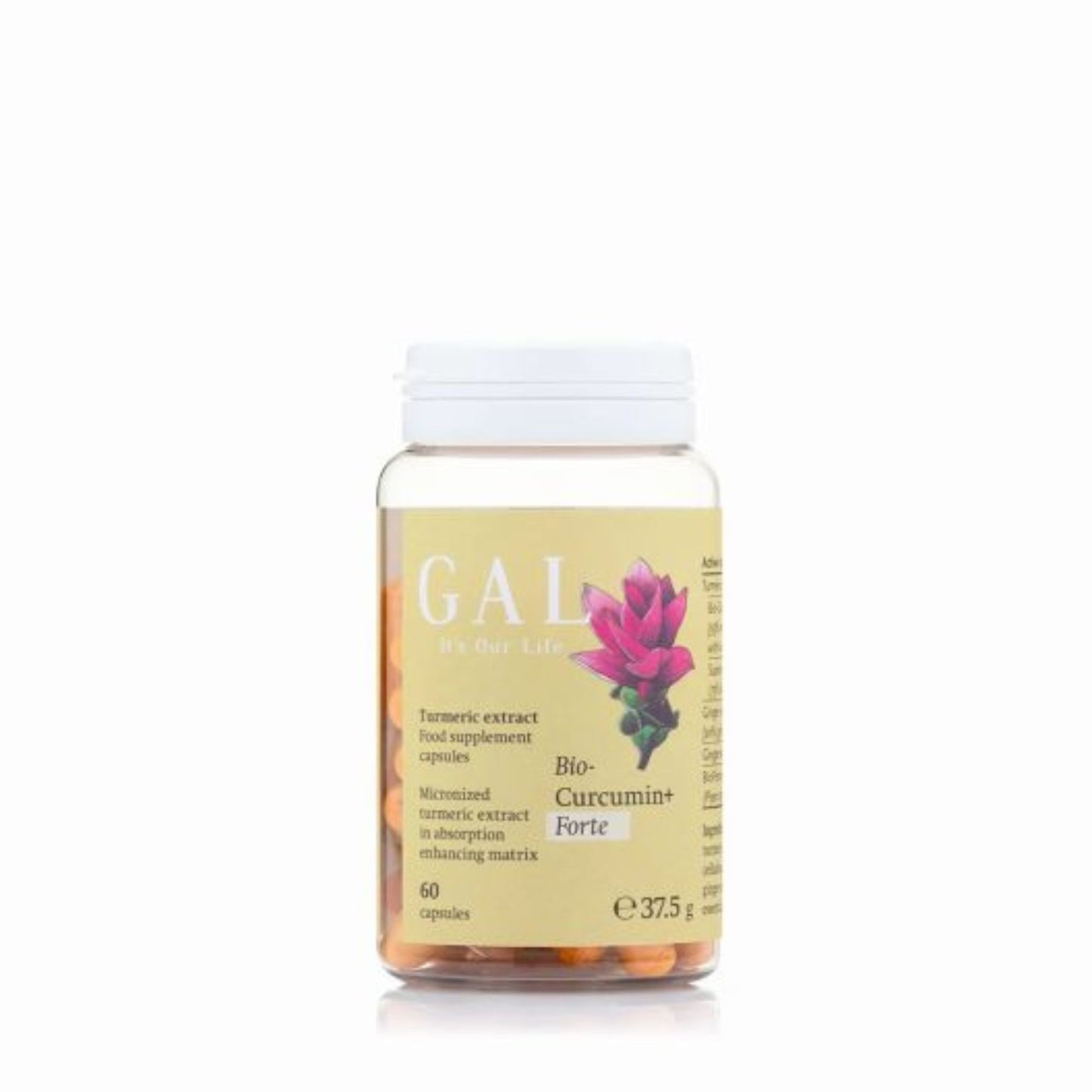 GAL Bio-Curcumin+Forte – Turmeric Extract (60 Capsules)