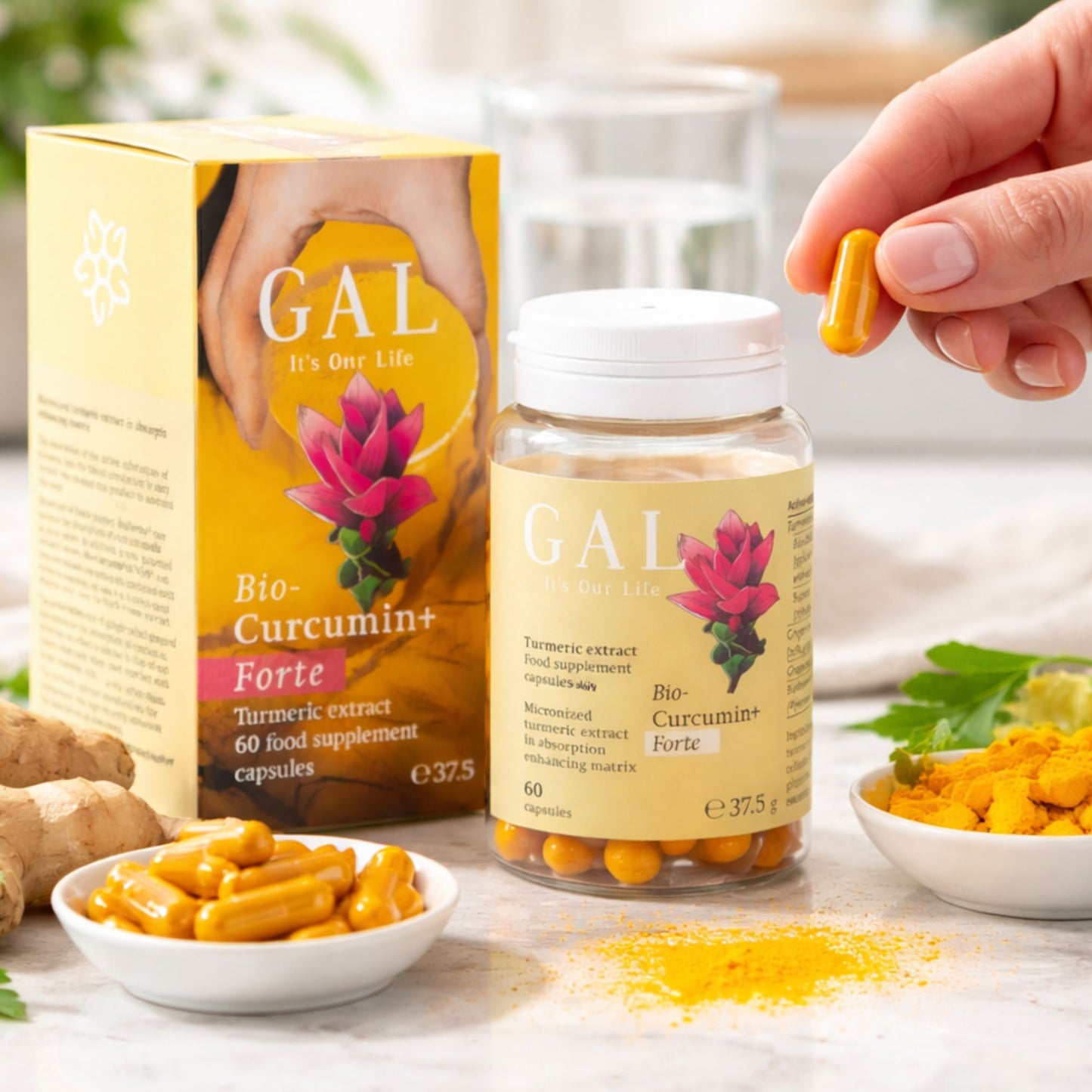 GAL Bio-Curcumin+Forte – Turmeric Extract (60 Capsules)