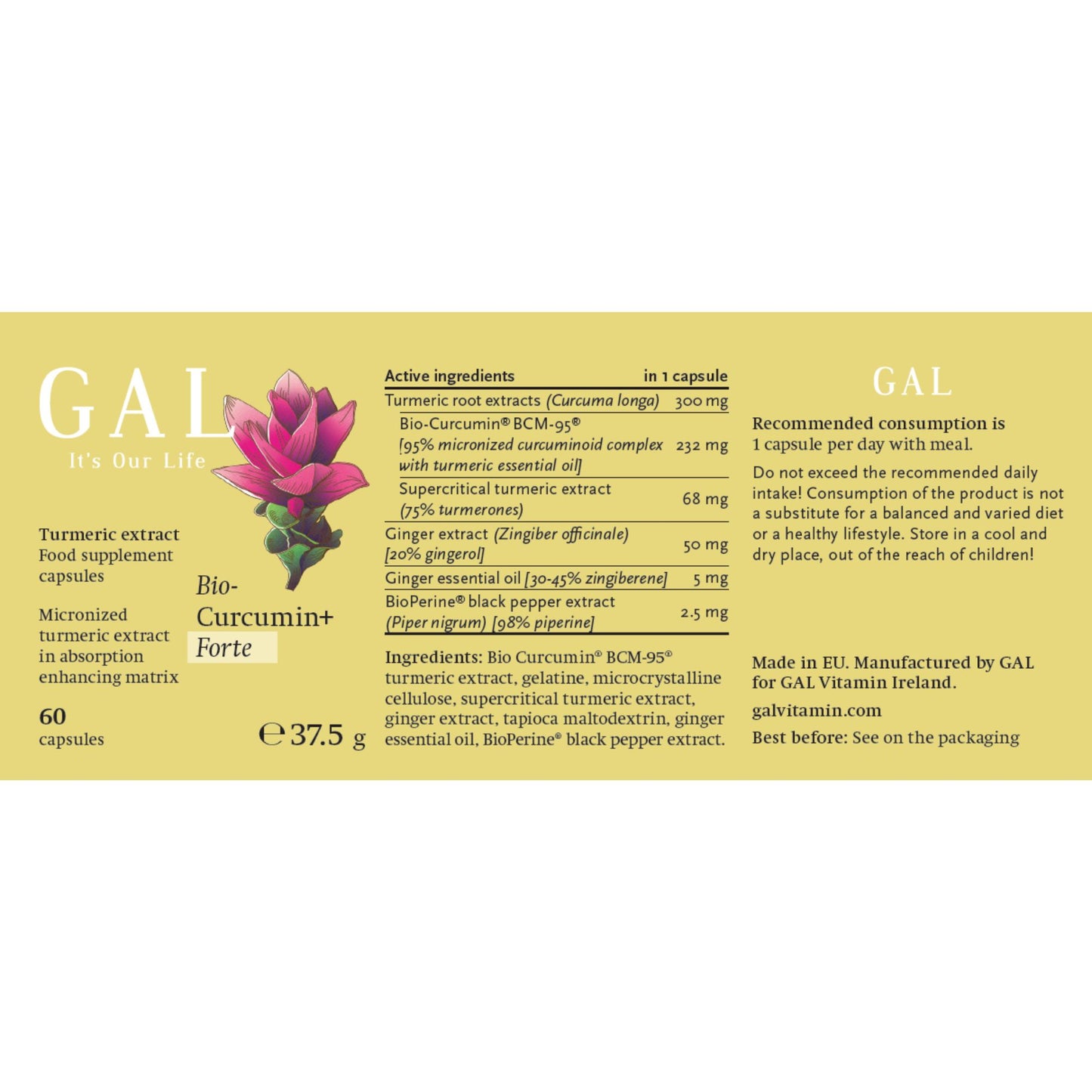 GAL Bio-Curcumin+Forte – Turmeric Extract (60 Capsules)