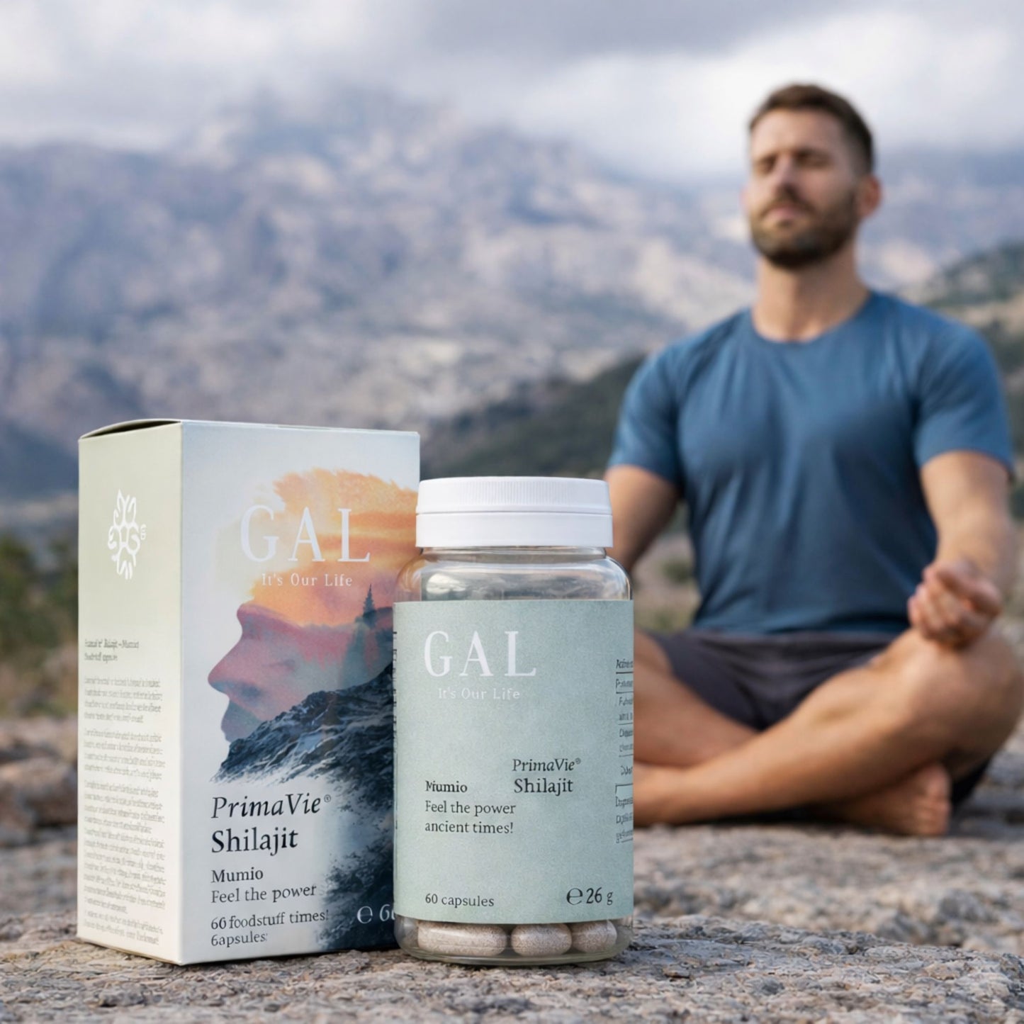 GAL PrimaVie® Shilajit (Mumio) – Natural Mineral Complex (60 Capsules)