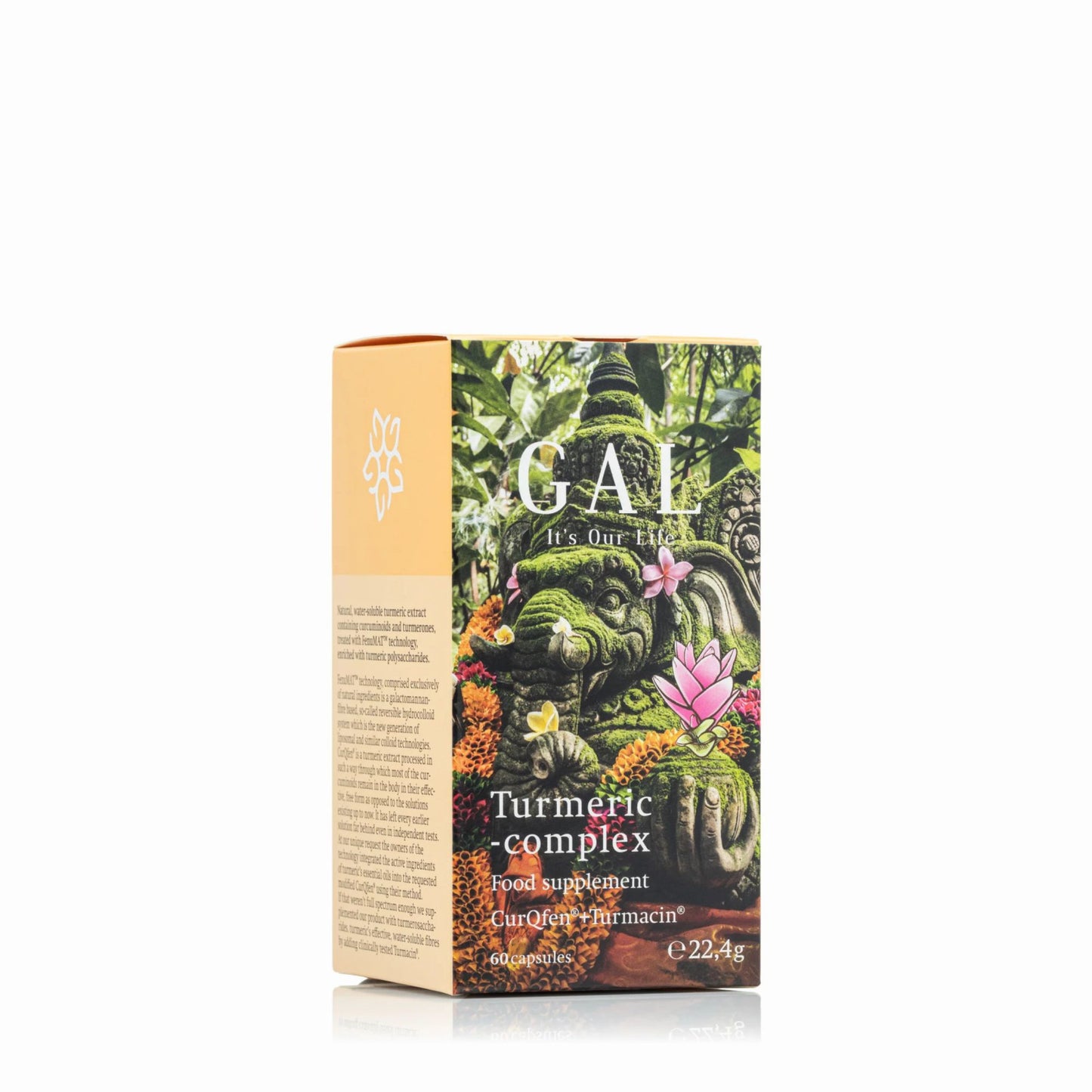 GAL Turmeric-Complex (60 Capsules)
