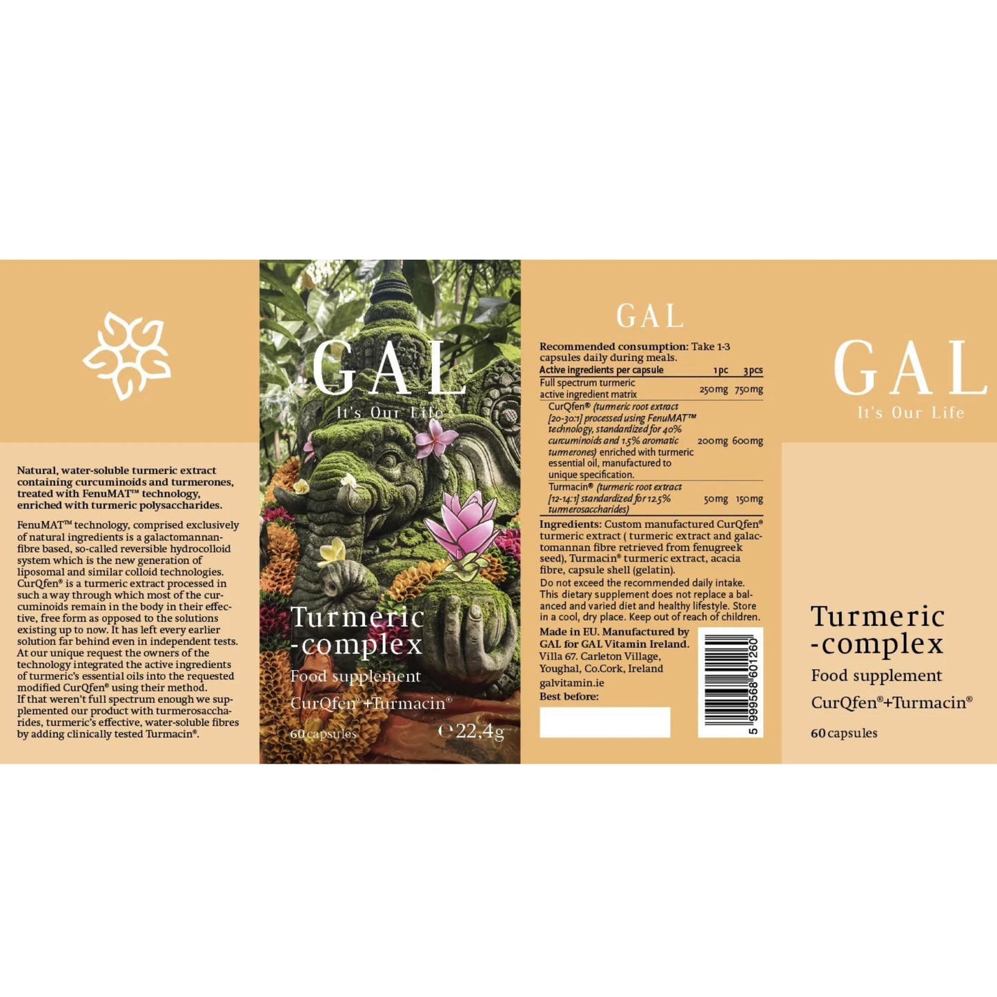 GAL Turmeric-Complex (60 Capsules)