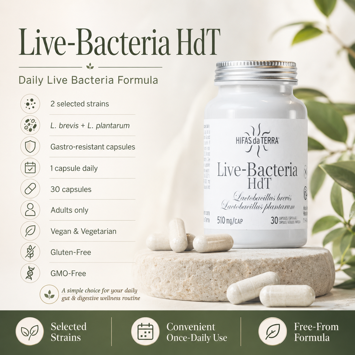 Hifas da Terra Live Bacteria Capsules – L. brevis & L. plantarum