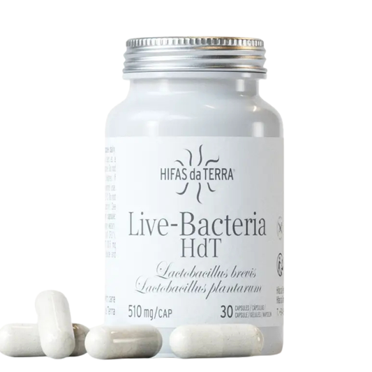 Hifas da Terra Live Bacteria Capsules – L. brevis & L. plantarum
