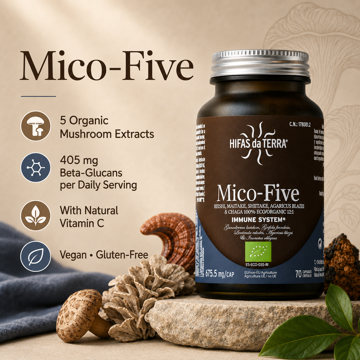 Mico-Five® – Reishi, Maitake, Shiitake, Sun Mushroom & Chaga Extracts + Vitamin C