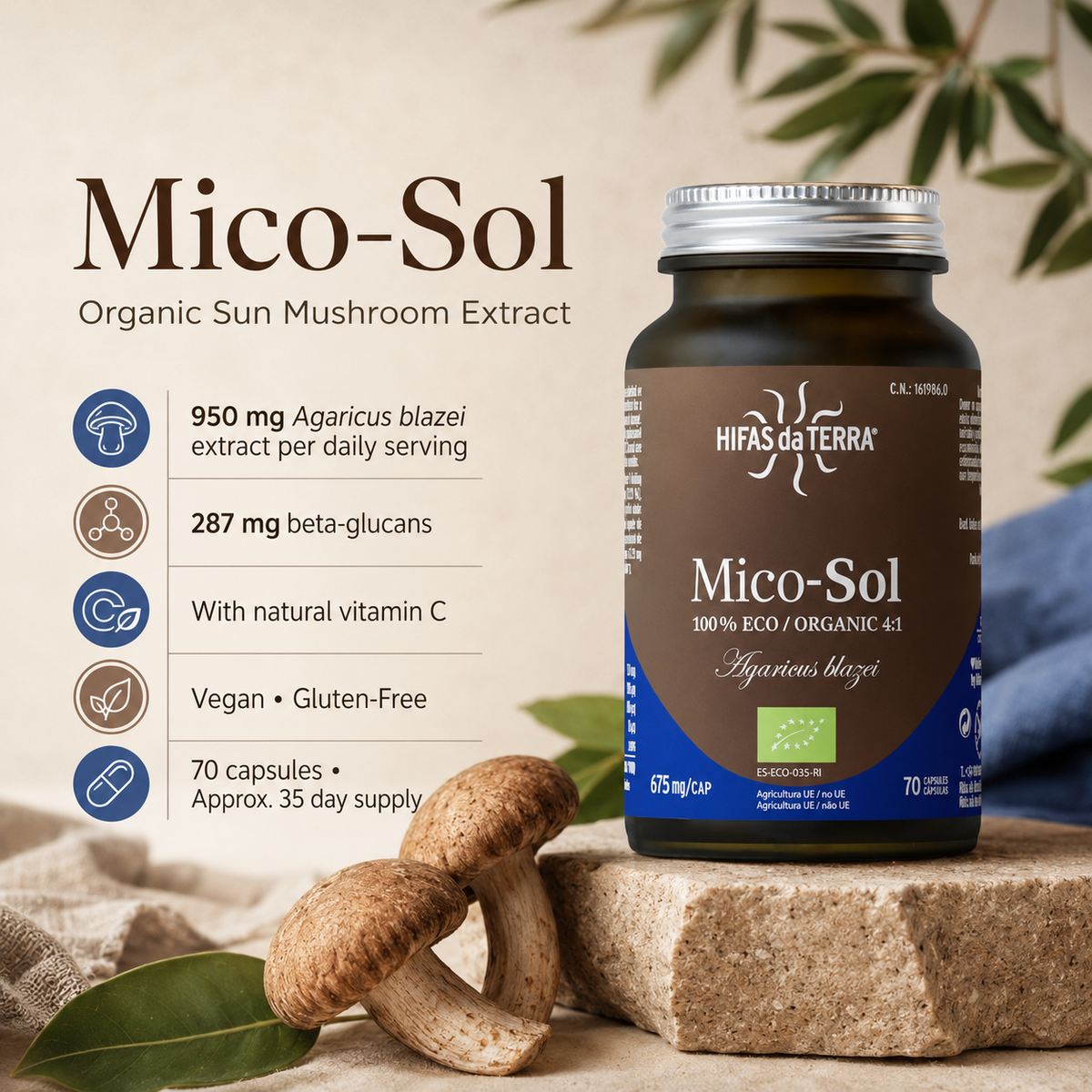 Mico-Sol® – Organic Sun Mushroom Extract + Vitamin C