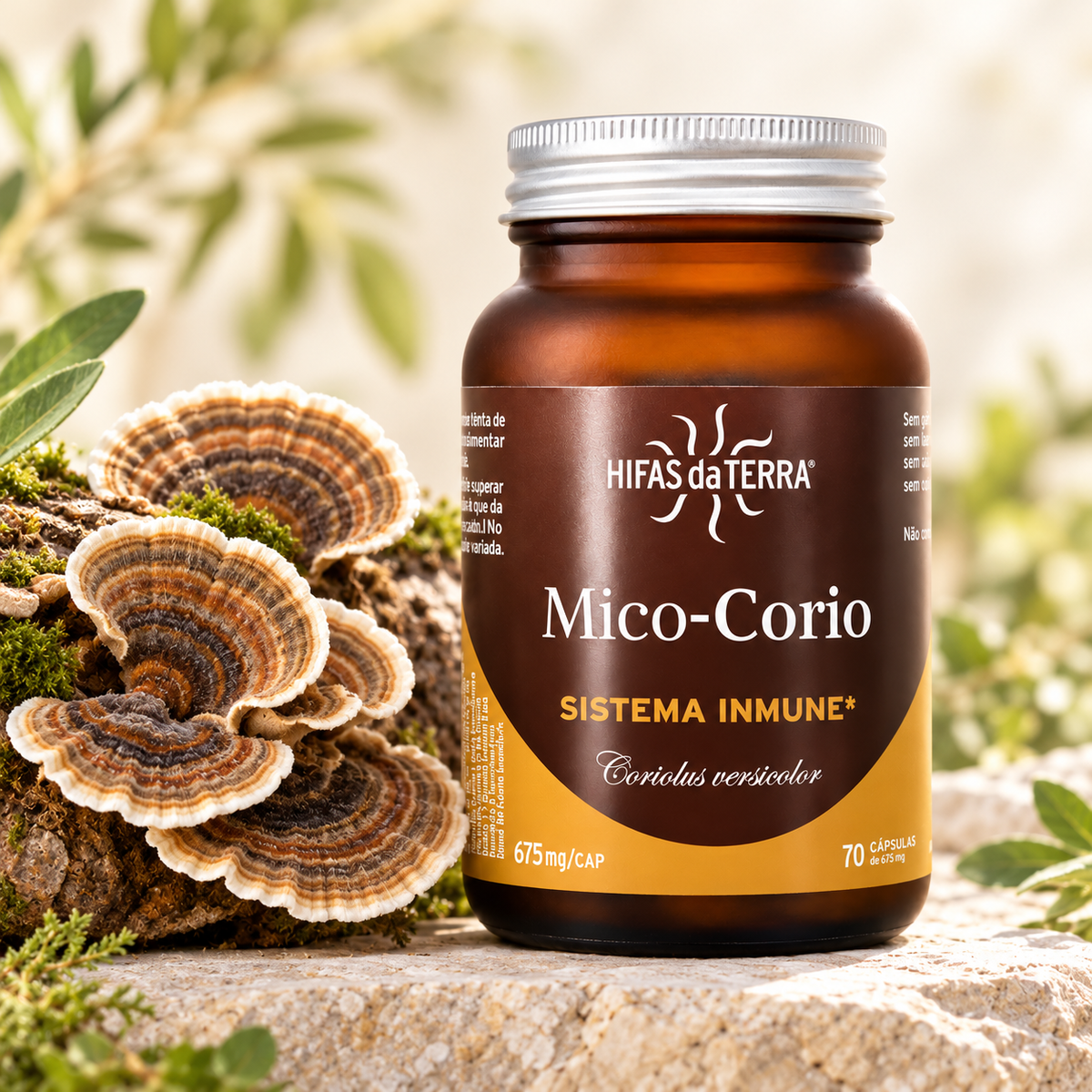 Hifas da Terra Mico-Corio 70 capsules beside Turkey Tail mushrooms