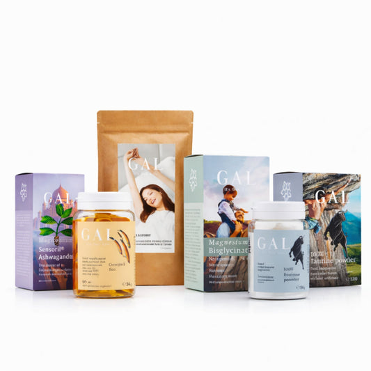 Energy & Focus Bundle